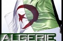 drapeau-algerien-algerie-jpg