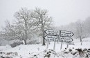 600xNxain-draham-in-the-snow.jpg.pagespeed.ic.KGxHmuTqAG