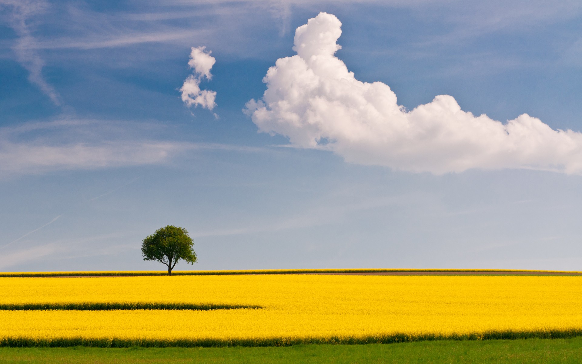 Ce mardi le temps est passagèrement nuageux sur lensemble du pays